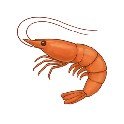 Karides