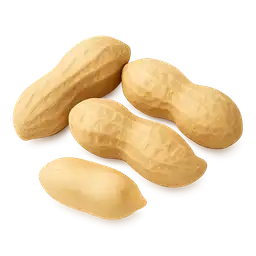 Peanut