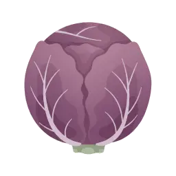 red-cabbage